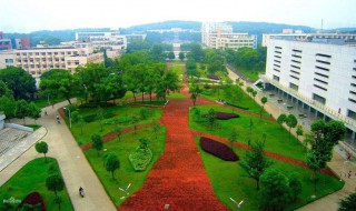 班委会由什么组成 班委会组成和职责介绍