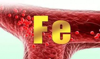 fe是几号元素 fe在化学元素里面排序