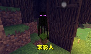 末影人是什么怪物 末影人的介绍