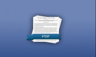 pdf格式怎么打印 打印pdf文件的步骤