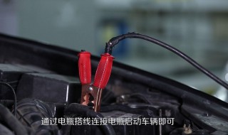 7天不开车打不着火正常 看这里