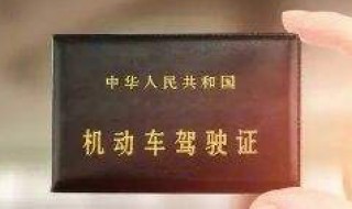 c2驾照怎么报名 这些流畅可以提前熟知