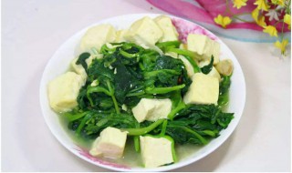 菠菜和豆腐能一起吃吗 菠菜不能和什么放在一起吃