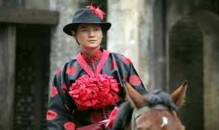 天智珍珠什么电视剧 天智珍珠的电视剧介绍