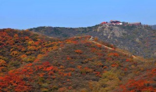 国内枫叶旅游景点推荐是什么 国内枫叶旅游景点介绍