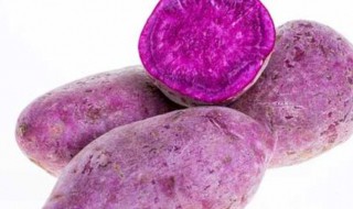 紫薯怎么存放 紫薯的存放方法
