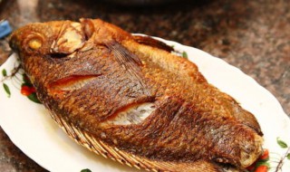 煎好的鱼怎么存放 煎好的鱼如何保存