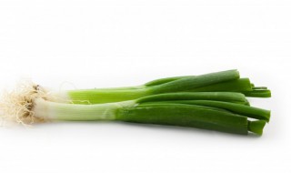 冬季室内栽大葱方法 如何种植大葱