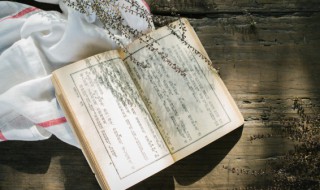 庞统为什么叫凤雏 庞统的简介