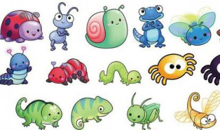 昆虫身上的毛有什么用处 昆虫身上的毛用处简单介绍