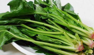 菠菜不宜和哪些菜一起吃 菠菜与什么菜相克