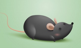 家里有老鼠消灭最快方法 家里有老鼠消灭最快方法推荐