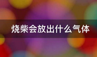 烧柴会放出什么气体 烧柴会放出气体的原因