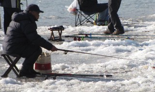 冰钓找鱼窝最简单方法 怎样冰钓找鱼窝
