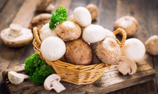 蘑菇的储存方法和注意事项 怎样储存蘑菇和注意事项