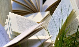 乐不可言的意思 乐不可言的解释