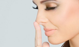 鼻子的比喻句 适合鼻子的比喻句范例