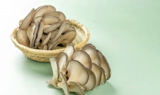 海鲜菇炒肉的做法 海鲜菇炒肉的做法步骤