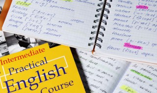 section是什么意思中文翻译 section是啥意思