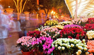 买回来的玫瑰花怎么养 买回来的玫瑰花养殖方法