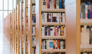 江南的诗句 关于江南的诗句有哪些