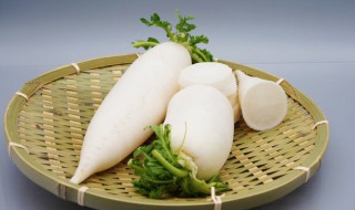 白萝卜包子肉馅的做法 白萝卜包子肉馅怎么做