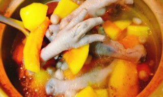 木瓜鸡的做法 怎样做木瓜鸡