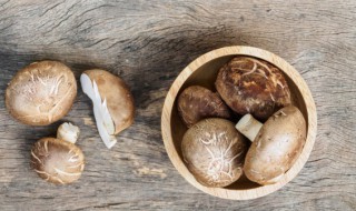 鲜香菇保存的方法有哪些 香菇的存放技巧