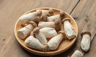 如何保存好杏鲍菇 存放杏鲍菇的流程