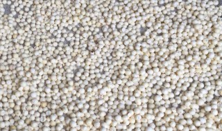 鸡头米的保存方法有哪些 如何保存鸡头米