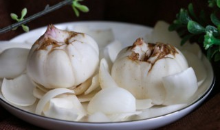 新鲜的百合如何保存方法 新鲜的百合储存方法