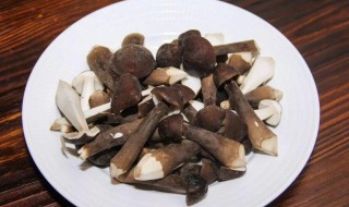 新鲜鸡枞菌的做法大全 怎么做鸡枞菌
