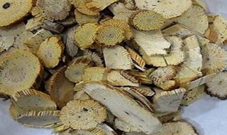 通草可以直接泡水喝吗 通草能直接泡水喝吗