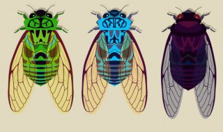 知了为什么夏天才出来呢 什么原因夏天才有知了