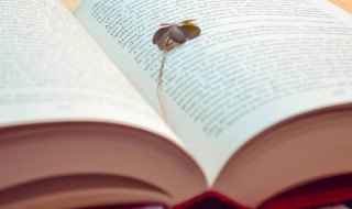 抗氧化性是什么意思 抗氧化性解释