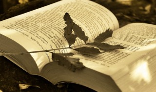 寸铁杀人的意思 寸铁杀人的解释