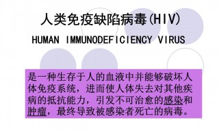 人类免疫缺陷病毒抗体是什么意思 人类免疫缺陷病毒抗体意思是什么