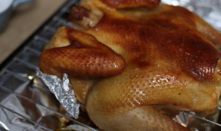 鸡子是什么意思 鸡子的介绍