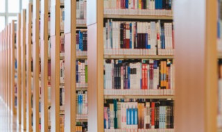 招标项目的标的是什么意思 招标项目的标的解释