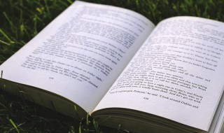 京组词 京怎么组词