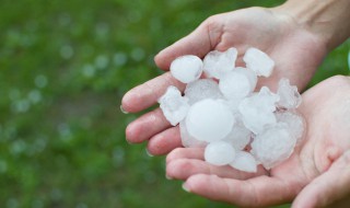 ice是什么意思 ice的中文意思