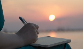 郁金香和向日葵的故事作文 关于郁金香和向日葵的故事作文