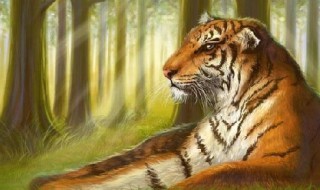 7月29日是什么日子 全球老虎日介绍