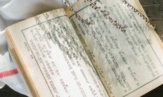 言字旁的词语 言字旁的词语有哪些