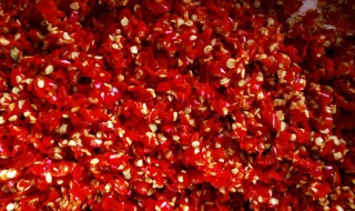 辣子酱家常做法 辣子酱做法