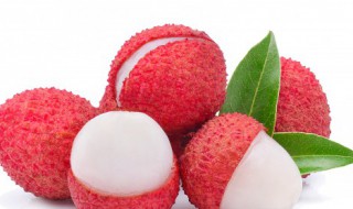 荔枝的诗句 荔枝的诗句有哪些