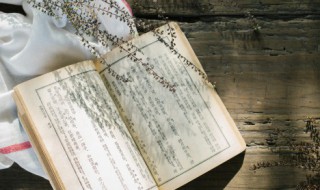 给老师的诗句 写给老师的诗句