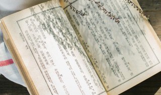 木槿花唯美古诗句 木槿花唯美古诗句内容