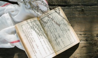 表达爱的诗句 表达爱的经典诗句