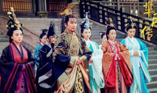 芈月传分集剧情简介 芈月传分集剧情介绍